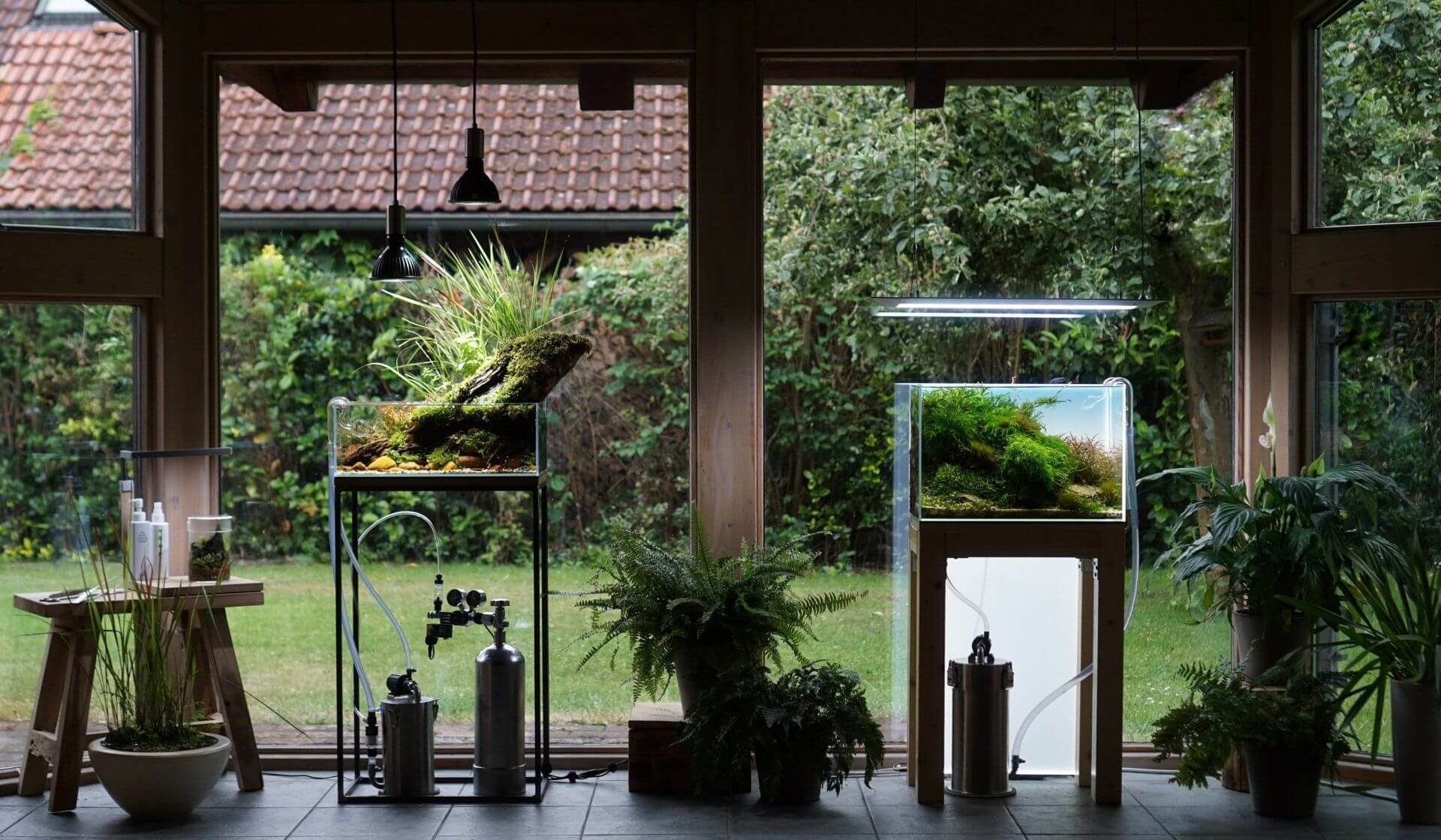 https://garnelen-gShowroom-Johannes-Schreck-Naturaquarium-Aquascaping