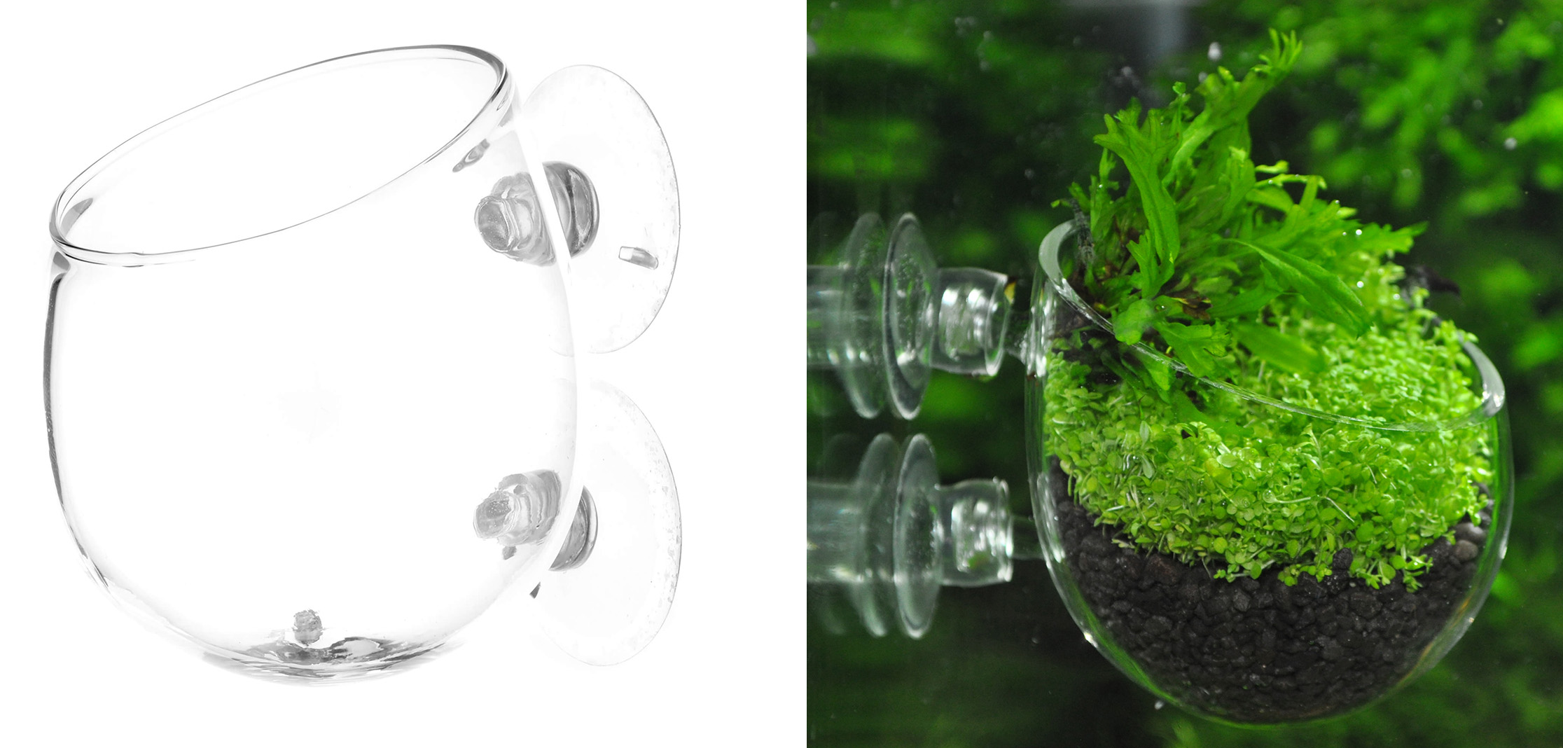 Plant-Pot-USCAPE-Pflanzen-an-der-Aquarienscheibe-befestigen