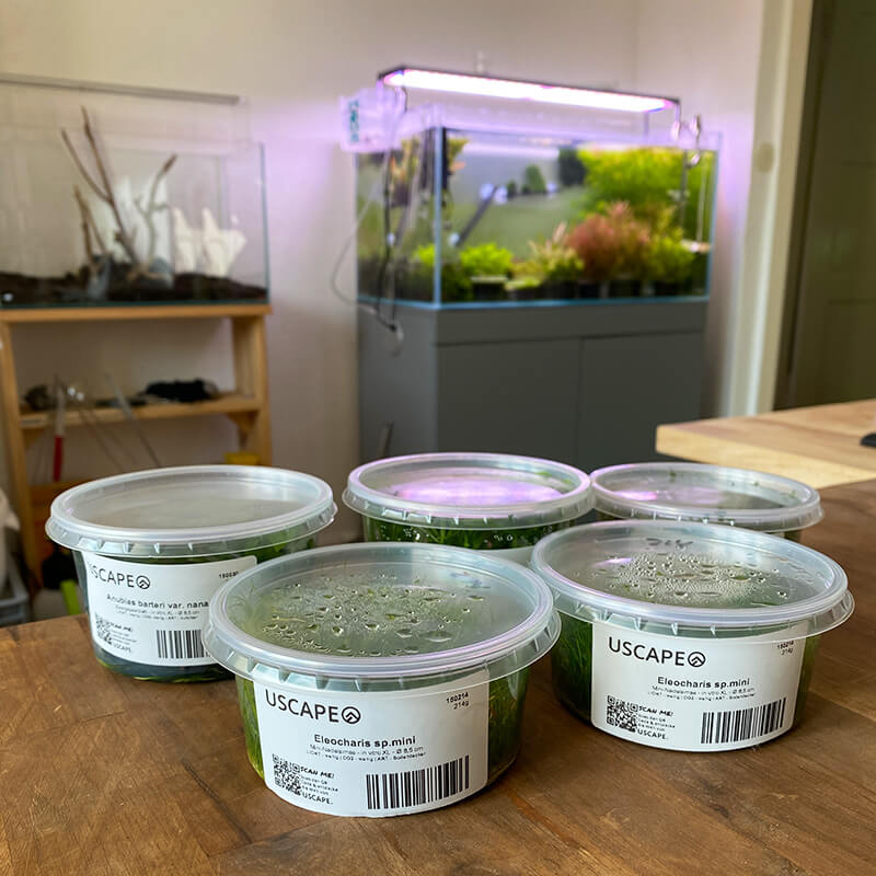 In vitro Dosen werden bei Raumtemperatur gelagert