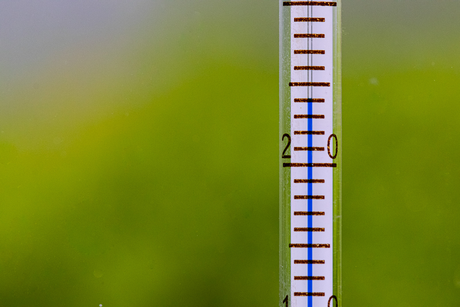 Die Temperaturen im Aquarium mit einem Thermometer immer im Auge behalten