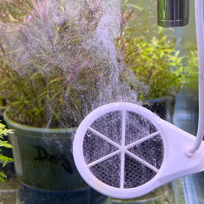 twinstar sterilisator im aquarium platzieren