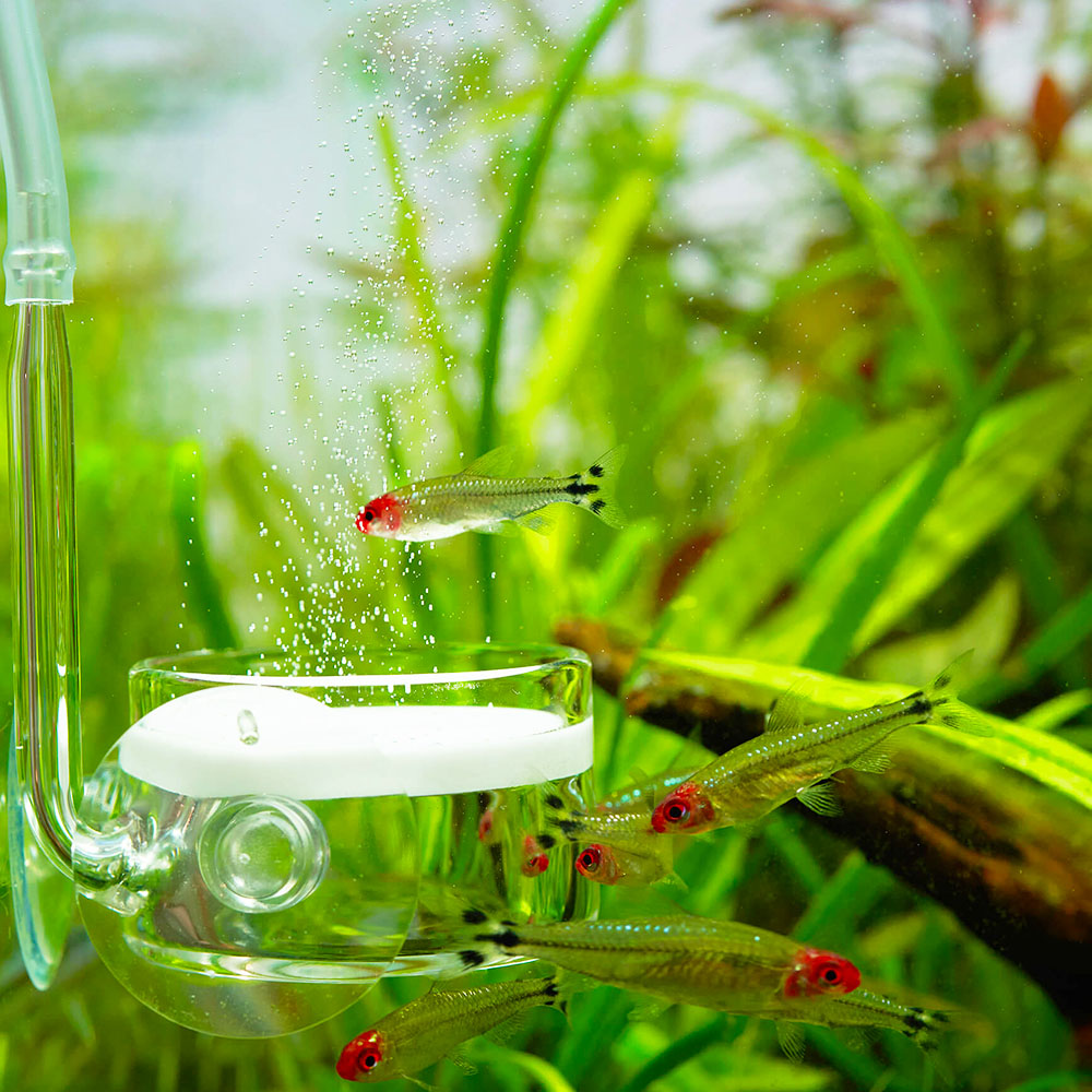 CO2 Glas-Diffusor L