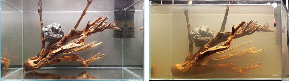 Wassertrübung beim Wässern von Talawa Holz