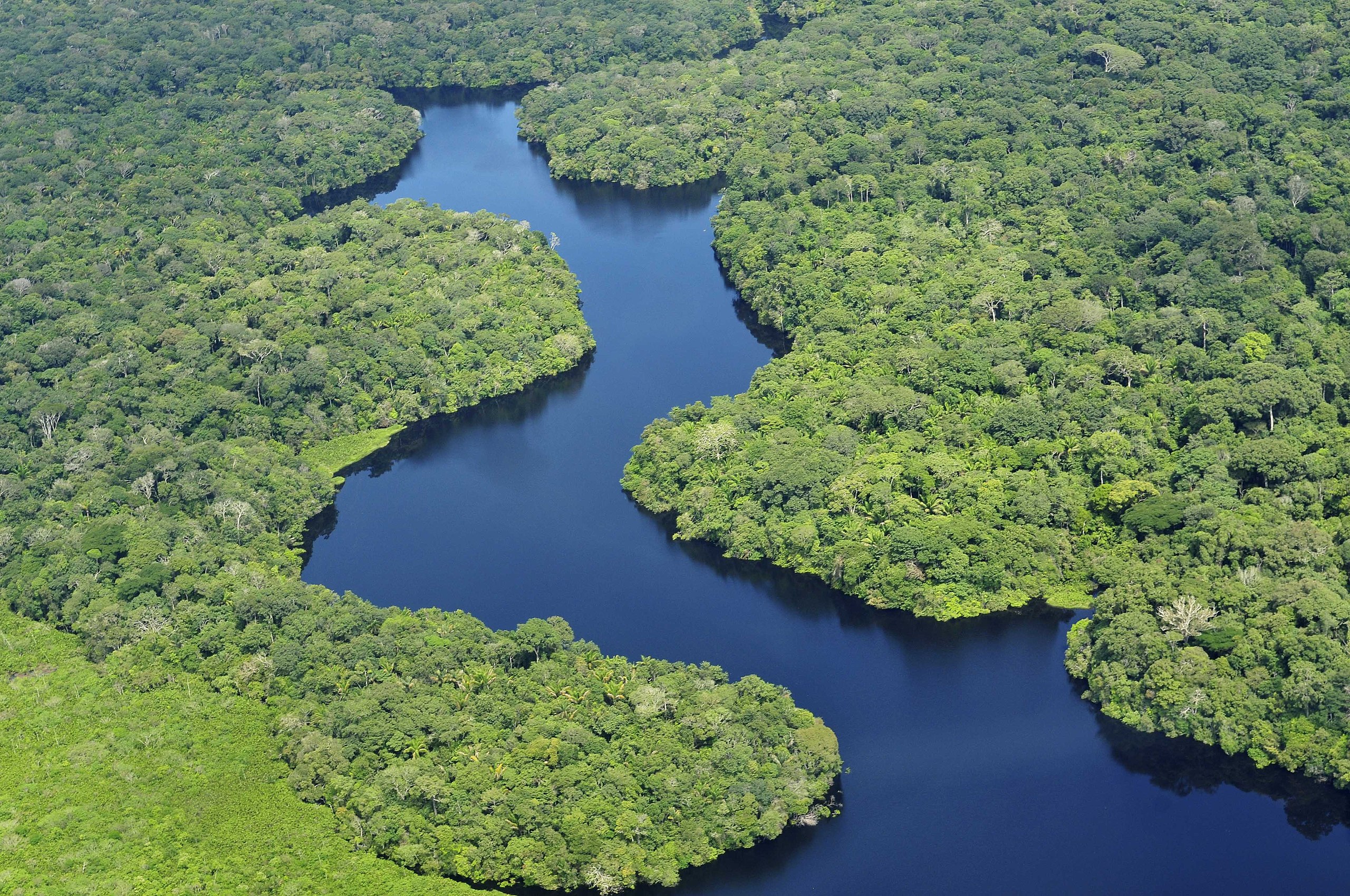 Amazonas Fluss im Südmarikanischen Regenwalld