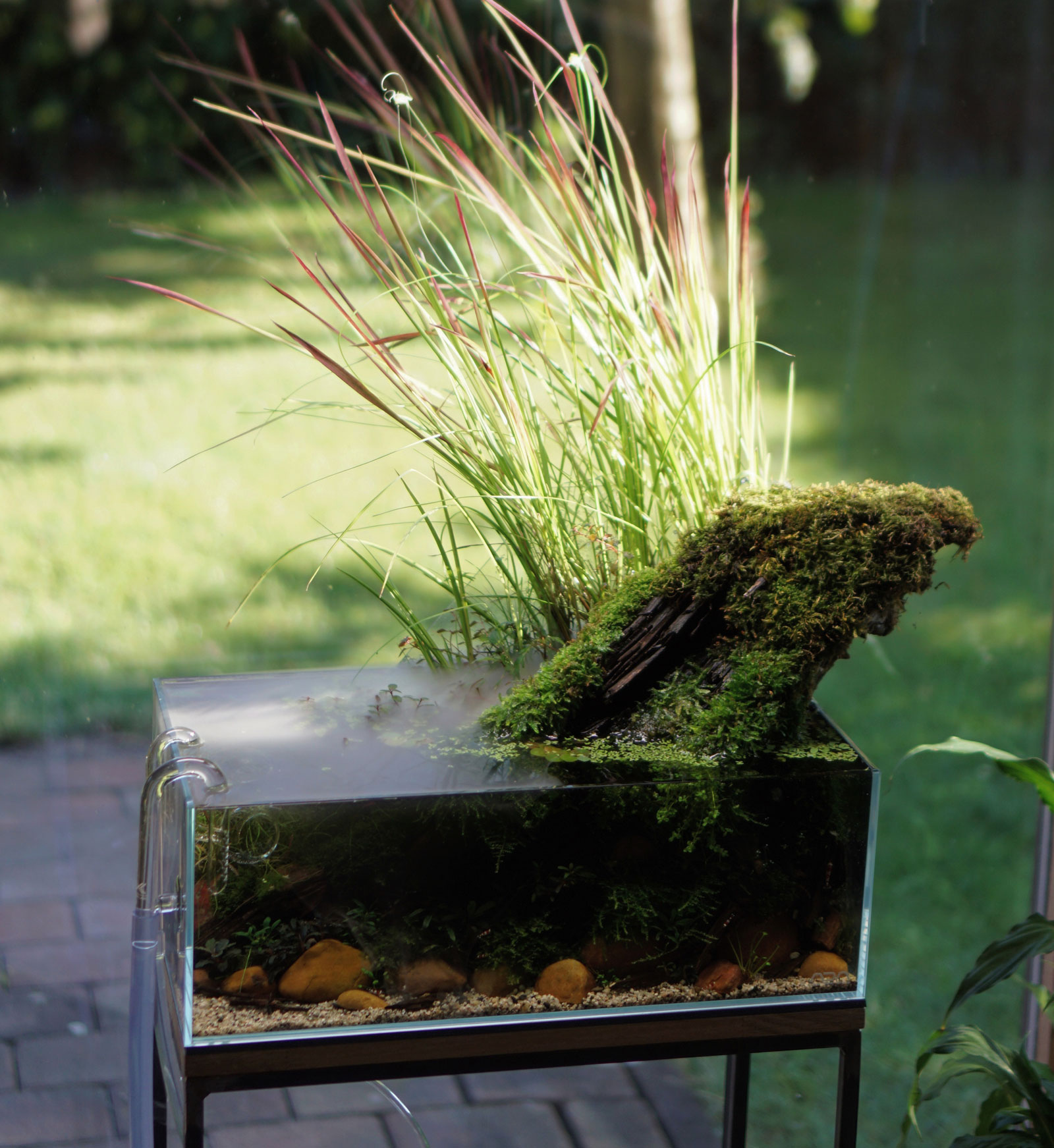 Pondstyle Aquascape mit Teichpflanzen