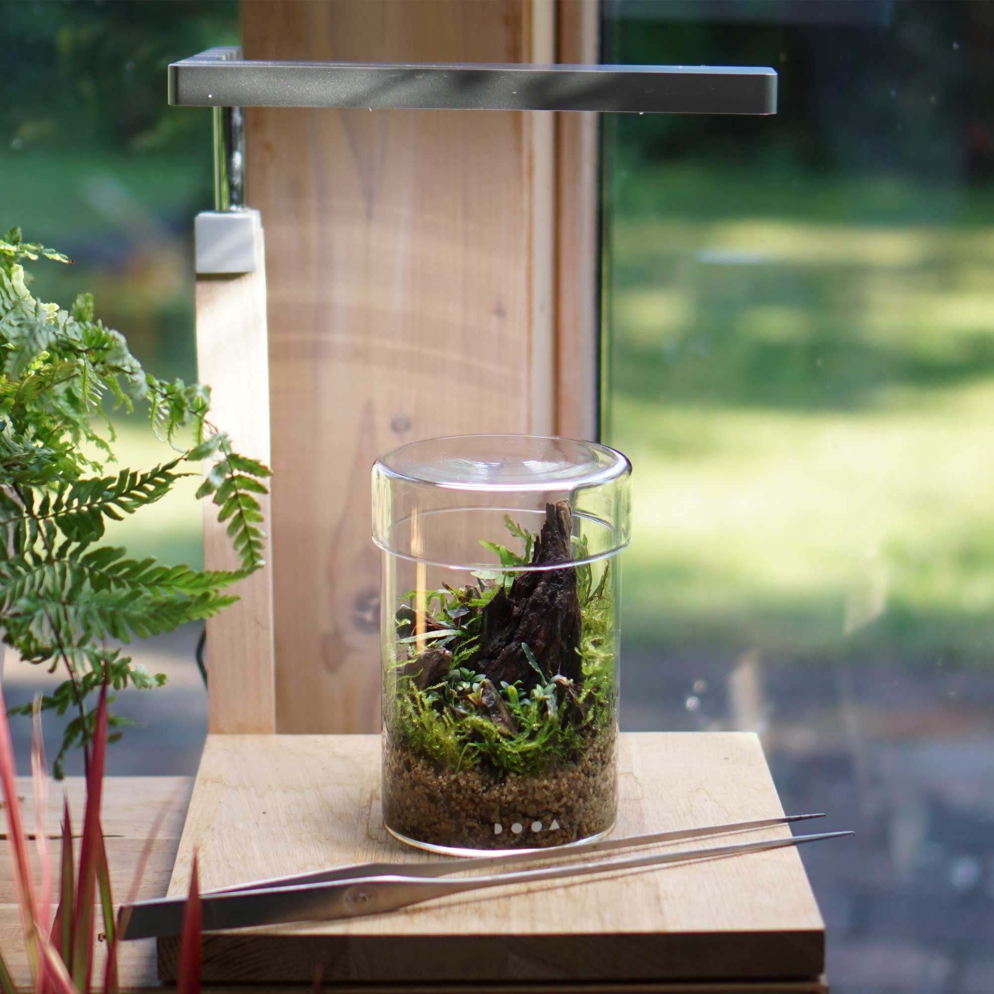 Dooa Glass Pot Maru Mini Terrarium