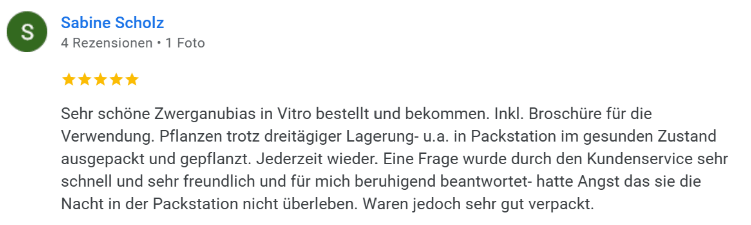 Garnelen Gummer Kundenerfahrung Rezension 5