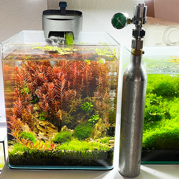 CO2 Anlage mit Sodastream Zyliner