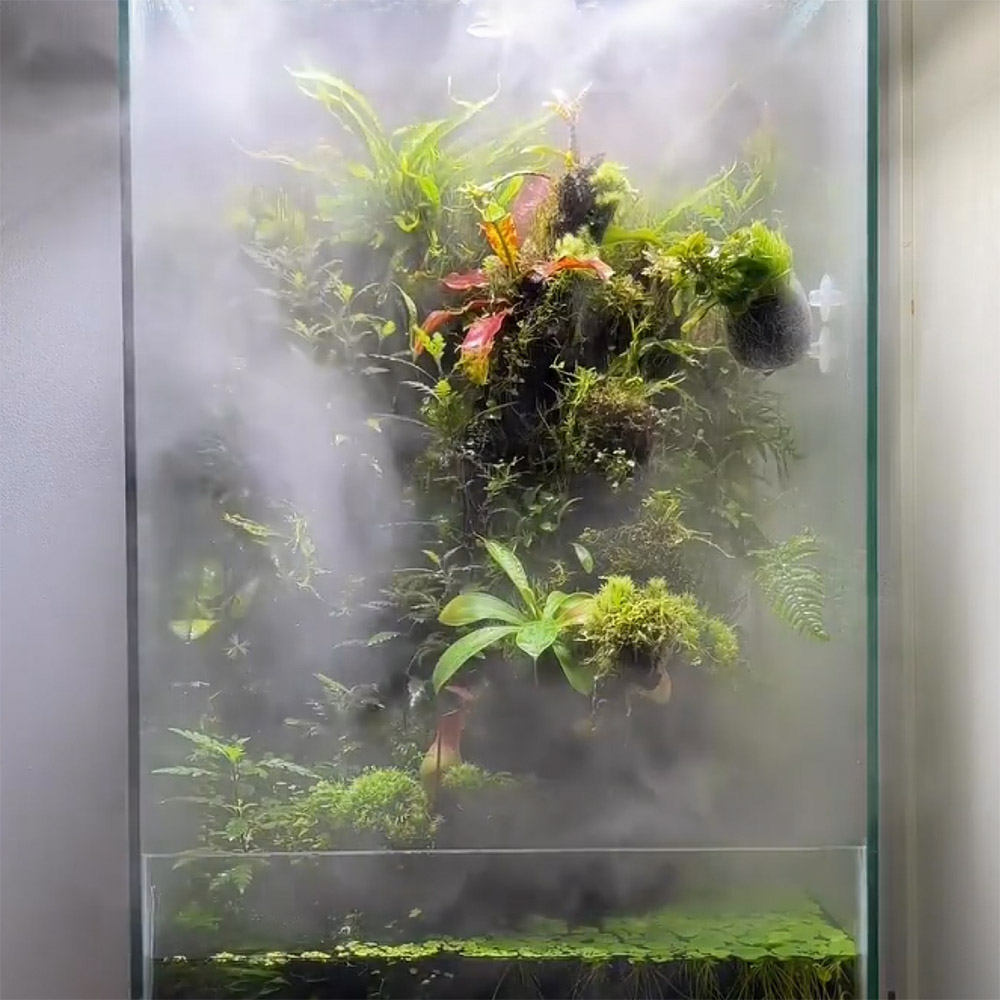Vernebler Nebel im Terrarium