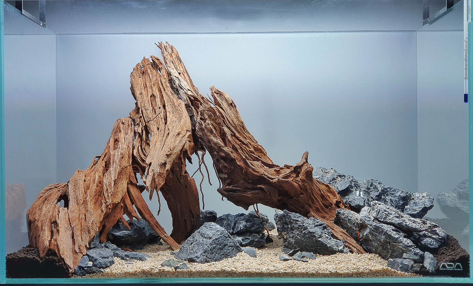 Yati Holz Hardscape für ein Afrika Style Aquarium