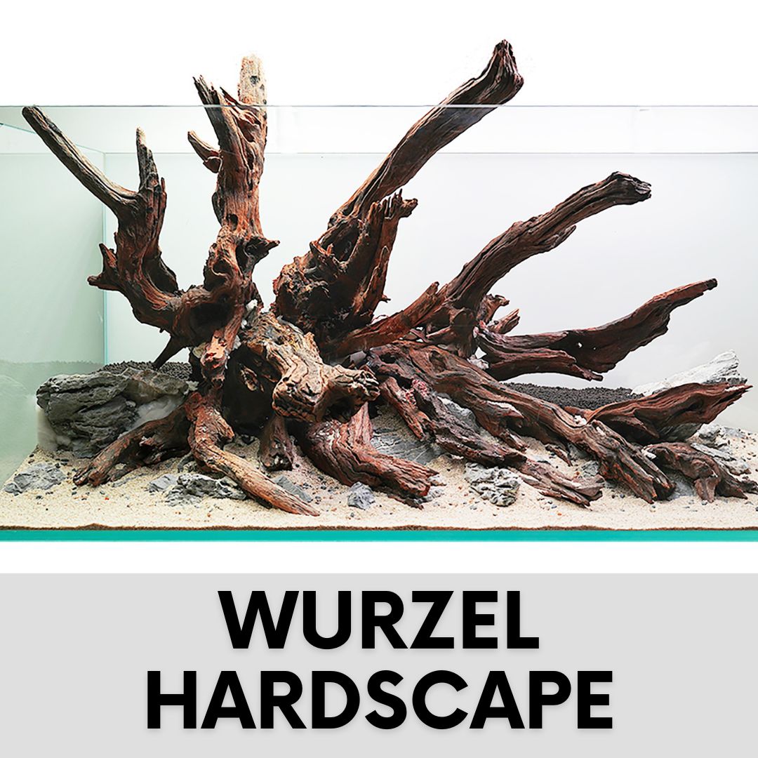 Aquarium Wurzel Hardscape Aquascaping Wurzeln