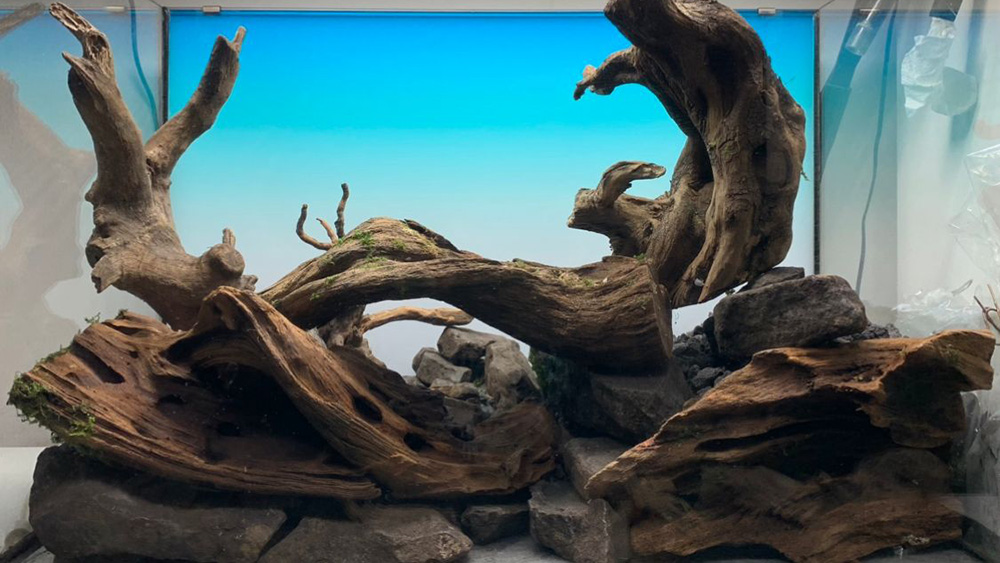 Hardscape 60p Aquarium Einrichtungsbeispiel