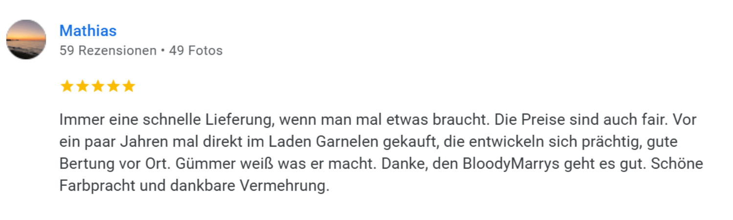 Garnelen Gummer Kundenerfahrung Rezension 3