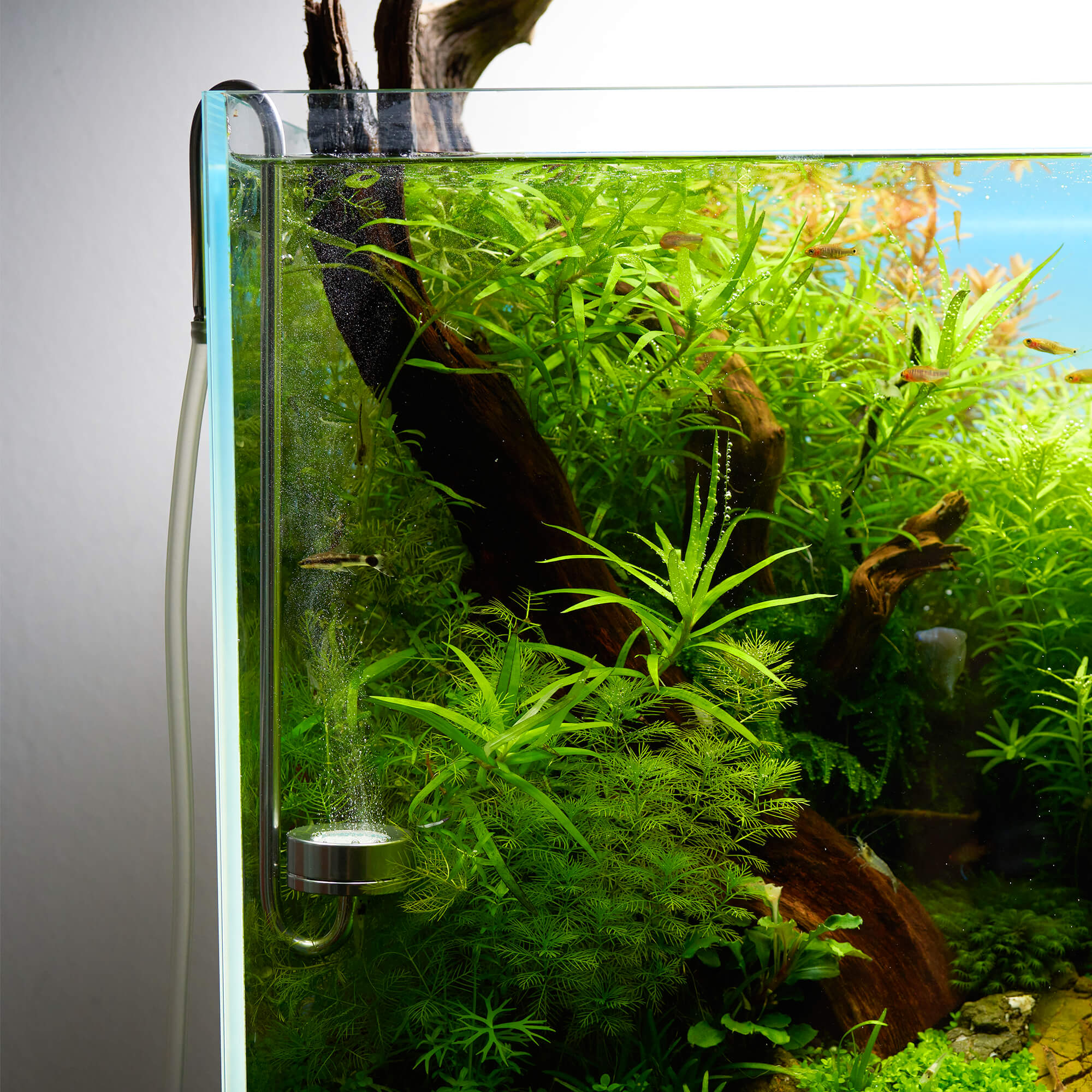 USCAPE CO2 Diffusor Edelstahl Hang on Aquarium