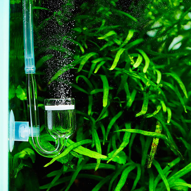 USCAPE CO2 Nano Diffusor aus Glas