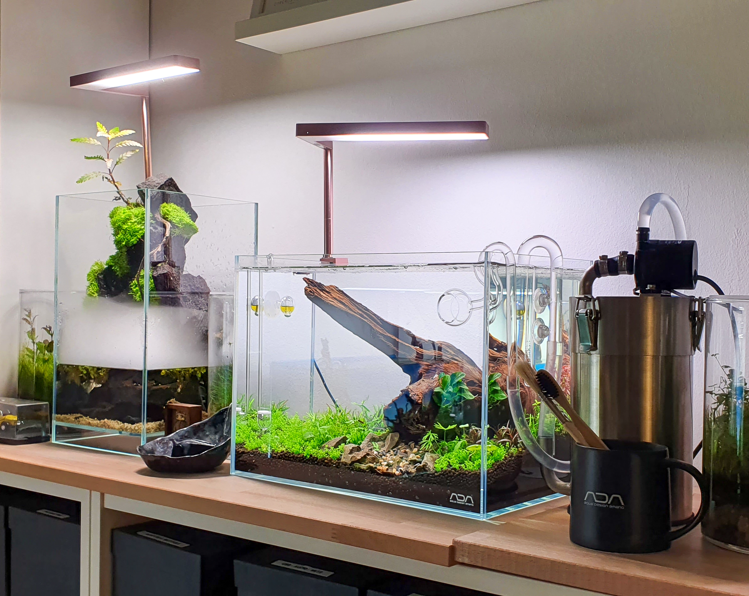 Kleines Aquarium, großer Filter