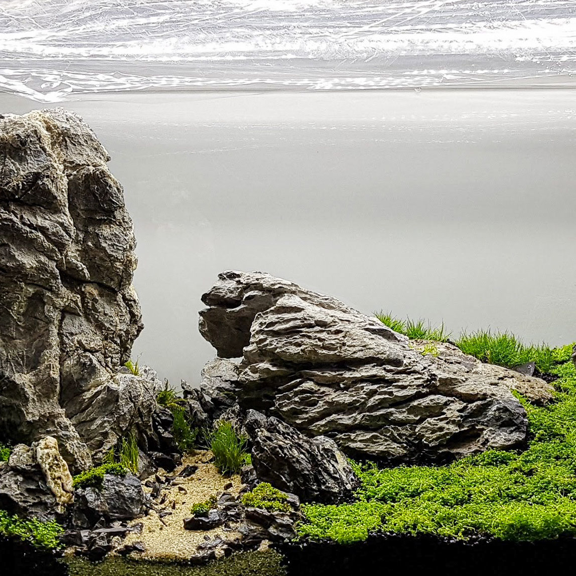 Dry Start Methode im Aquarium, abgedeckt mit Frischhaltefolie