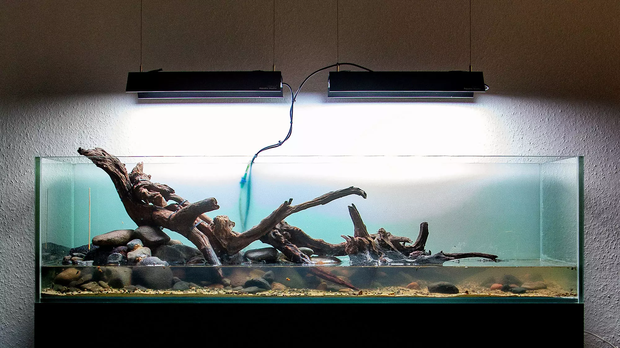 Hardscape Naturaquarium