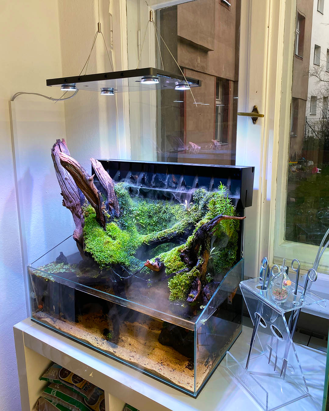 Paludarium Mizukusa Mist Wall Garnelen Guemmer Showroom