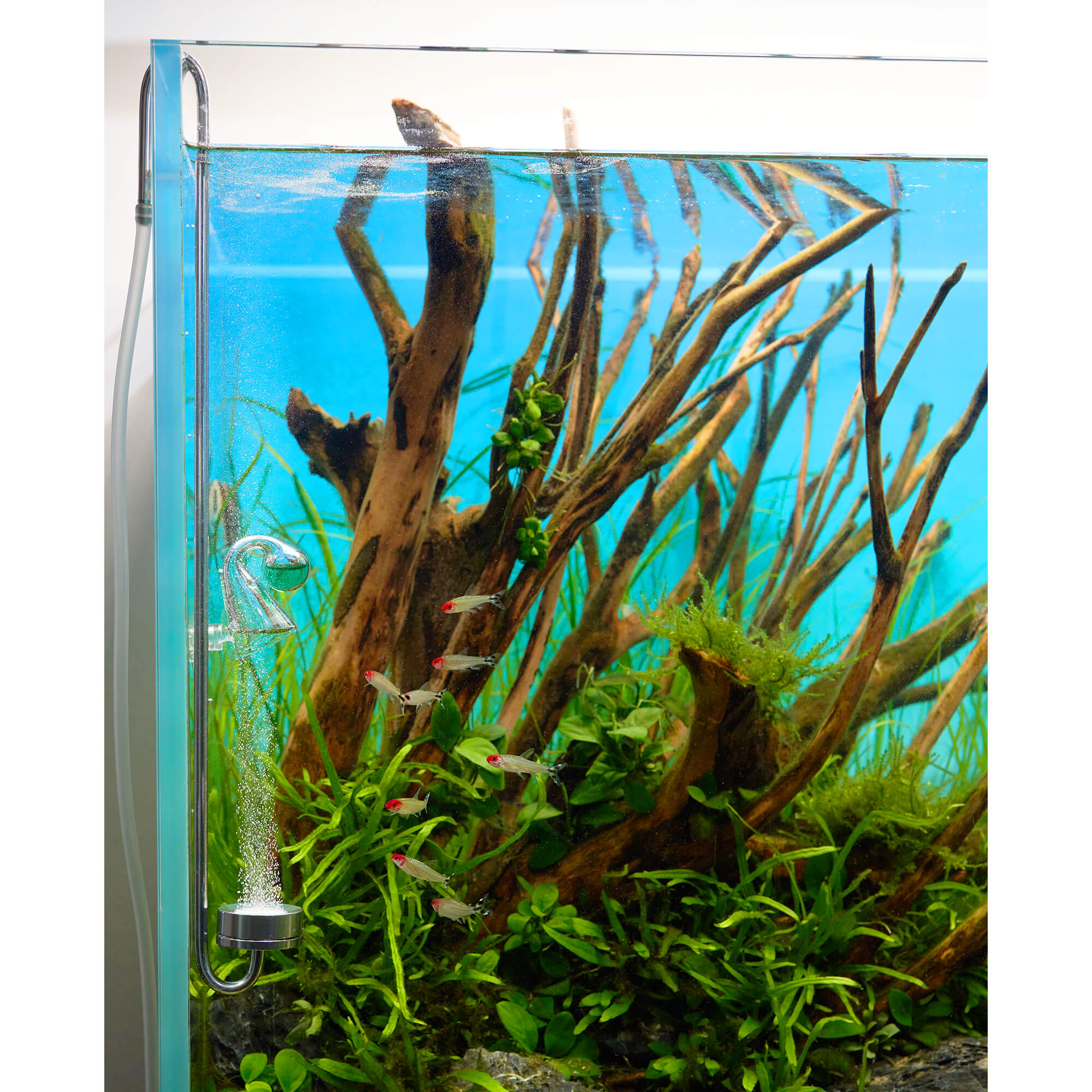 USCAPE CO2 Diffusor Edelstahl Hang on Aquarium