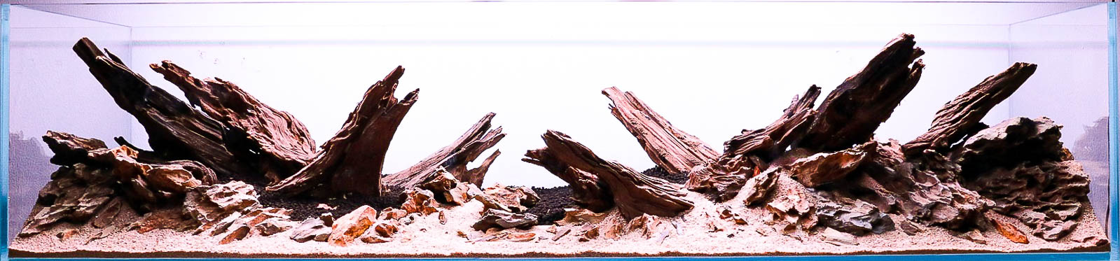 Wood Iwagumi mit Yati Holz von Fabian Beck